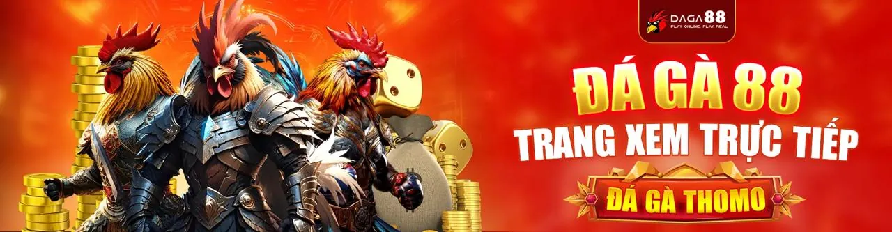 Đá Gà Trực Tuyến QHH88 Link Mới