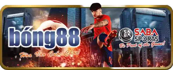 Nền tảng QHH88 an toàn và bảo mật